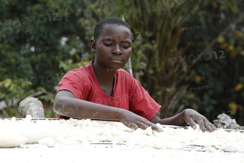 Woman spreading cassava out to dry