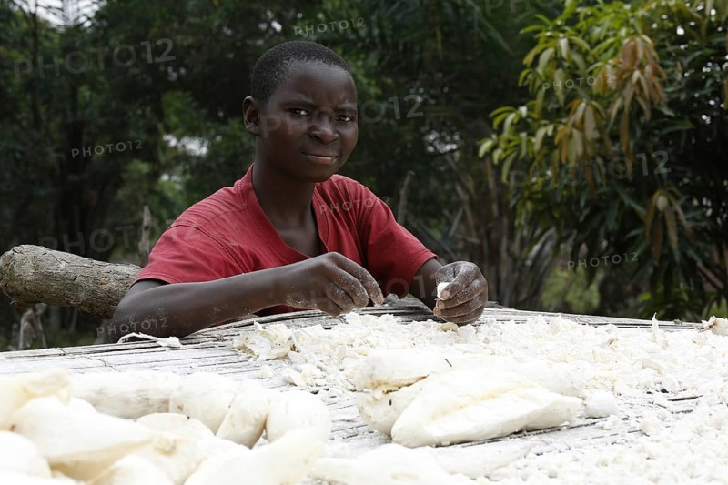Woman spreading cassava out to dry