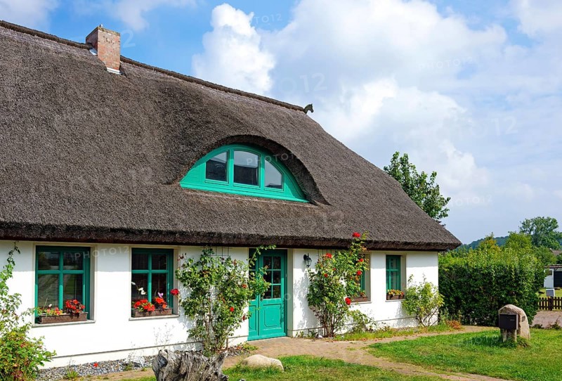 Thatched house