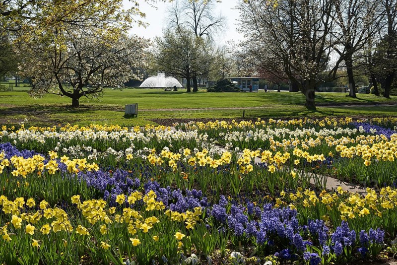 Flowerbeds in the egapark