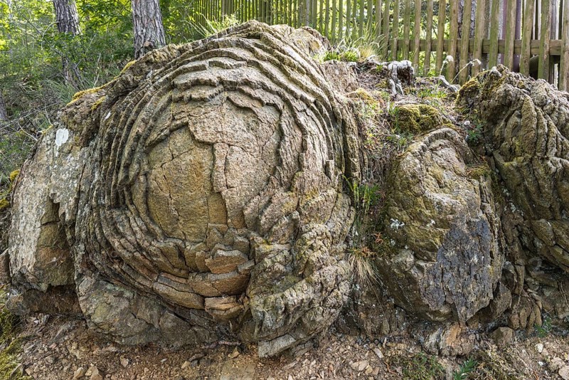 Stone Rose