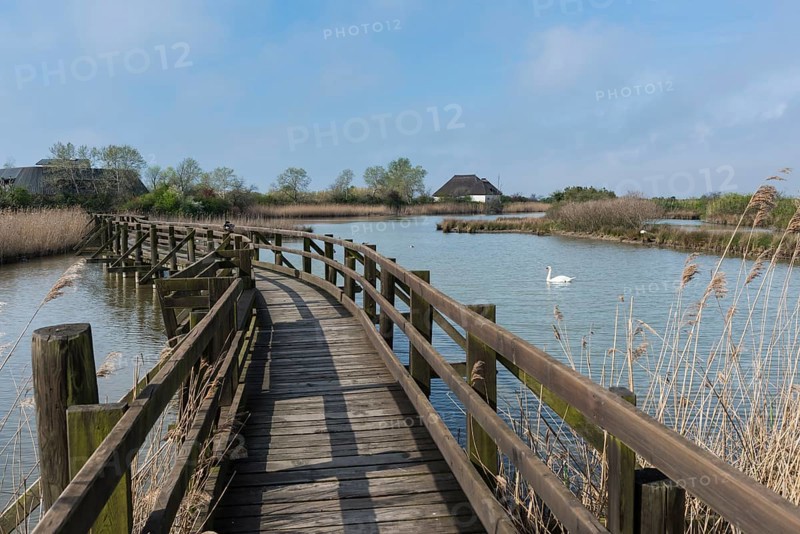 Visitor path