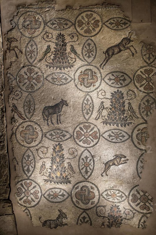 Mosaic floor with animal symbolism