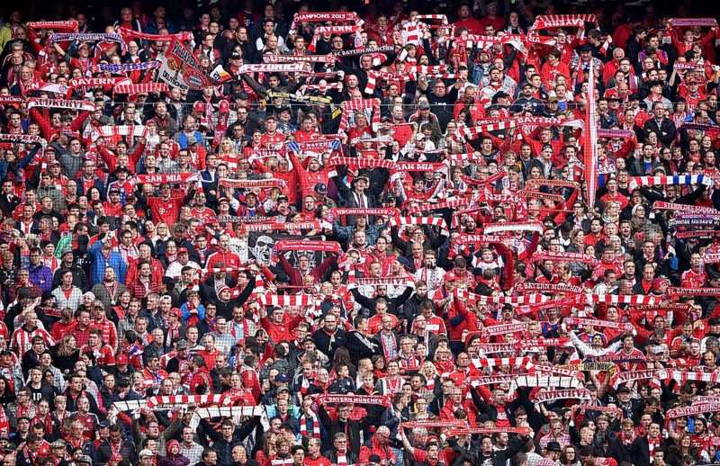 Fans