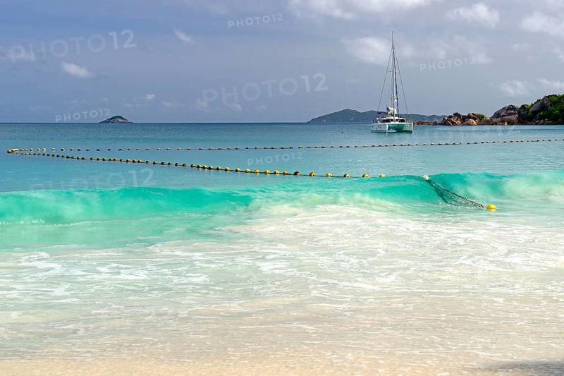 Shark net
