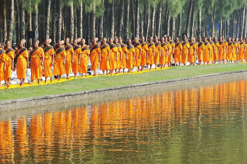 Monks next to pine forest