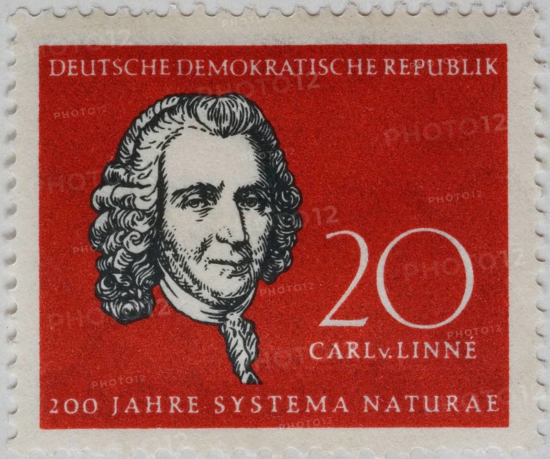 Carl von Linne
