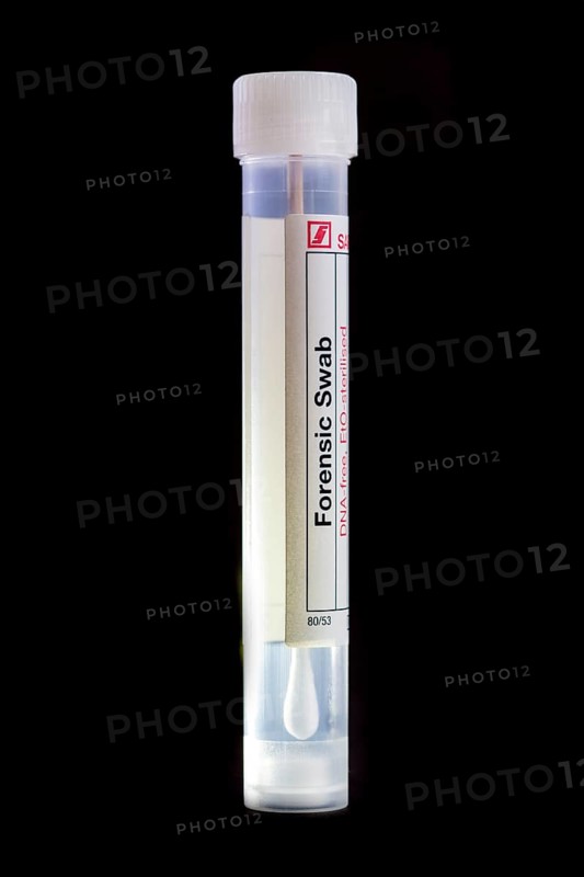 Forensic cotton swab for securing DNA