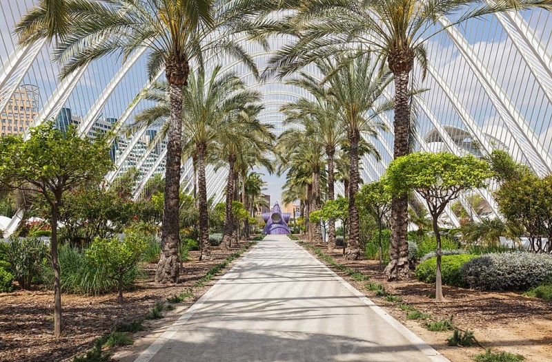 The City of Arts and Sciences