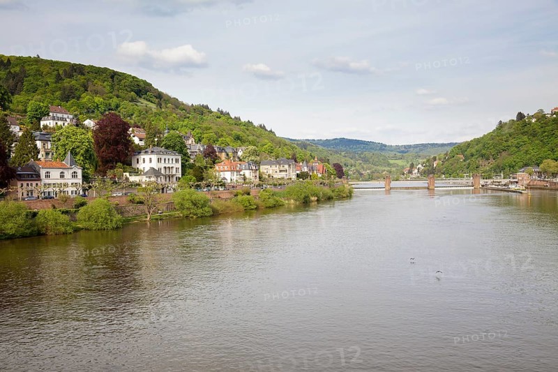 River Neckar viewed from the Alte Brucke