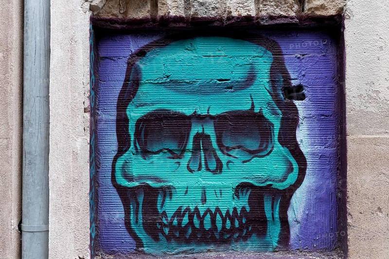 Skull