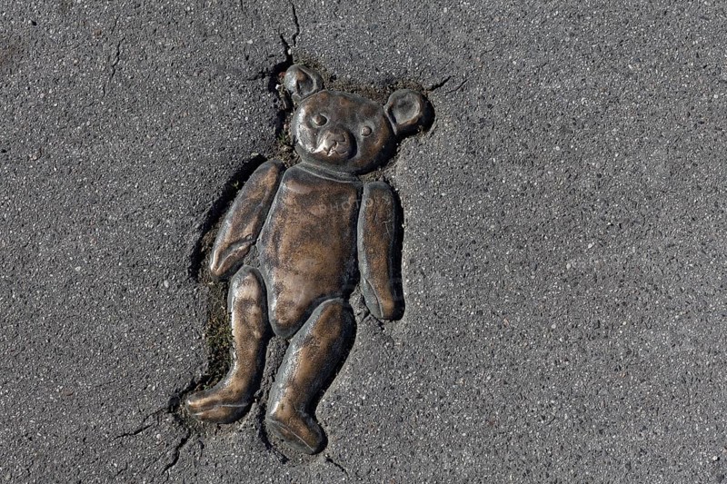 Teddy bear