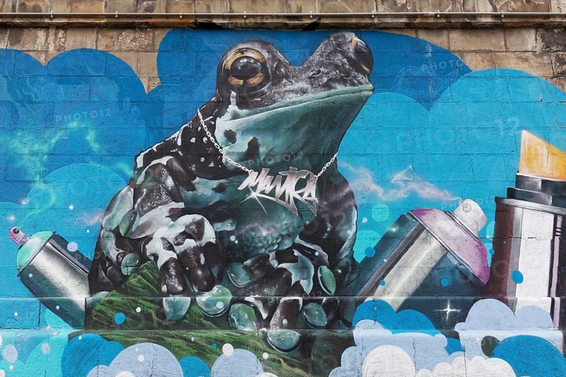 Frog with spray cans