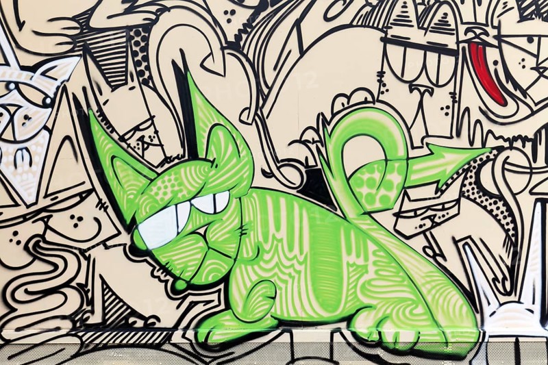 Green cat with grumpy face