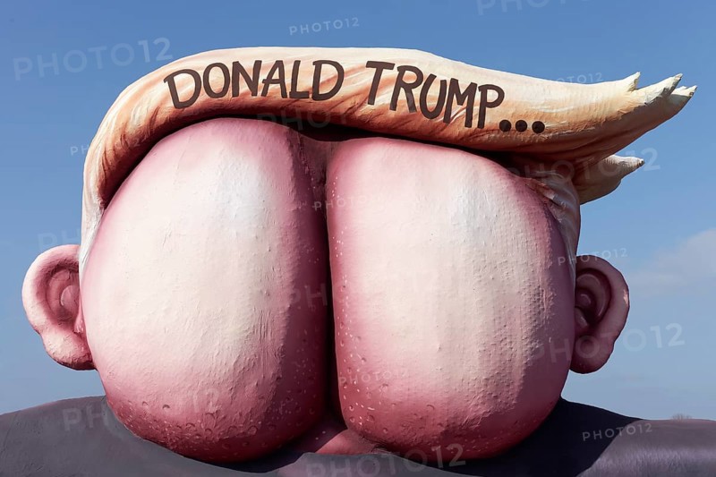 Presidential candidate Donald Trump as an ass with quiff
