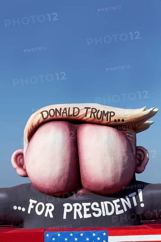 Presidential candidate Donald Trump as an ass with quiff