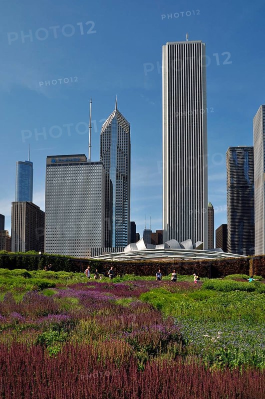 Flower carpet in center of Chicago