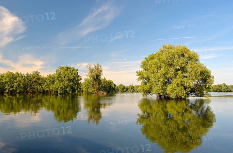 Wetland in the Kopacki Rit nature park