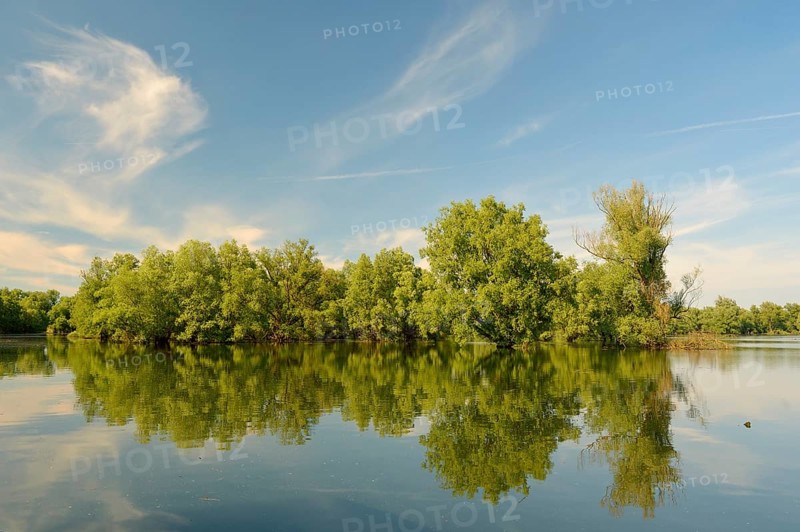Wetland in the Kopacki Rit nature park