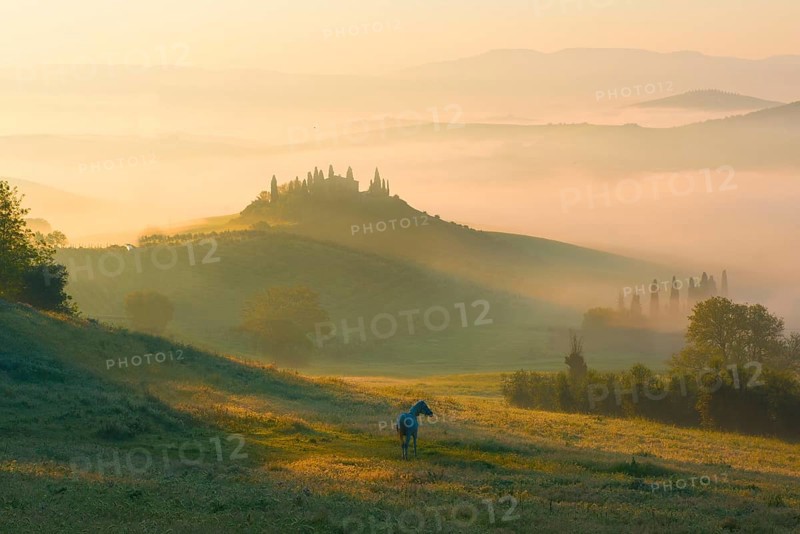 Podere Belvedere farmhouse