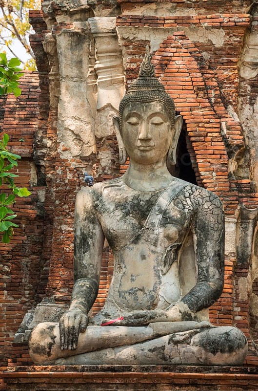 Buddha statue