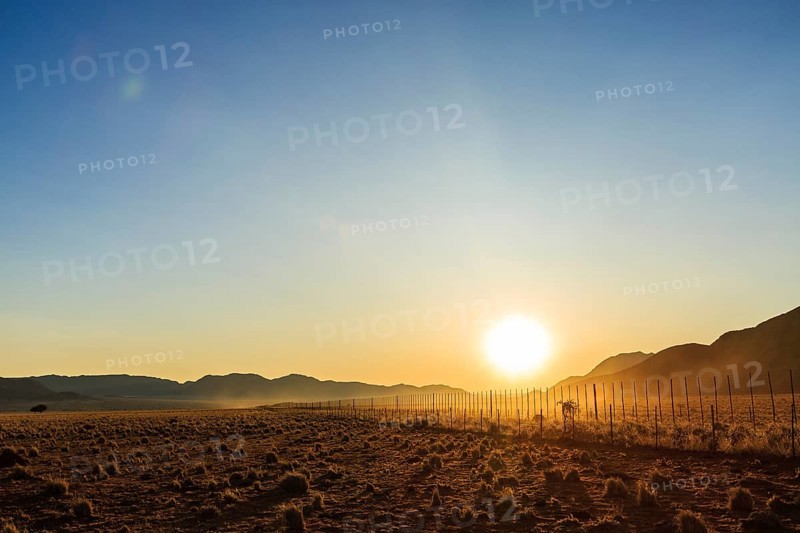 Farmland with fence at sunset
