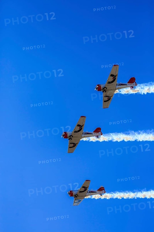Aerobatic Team Flying Lions