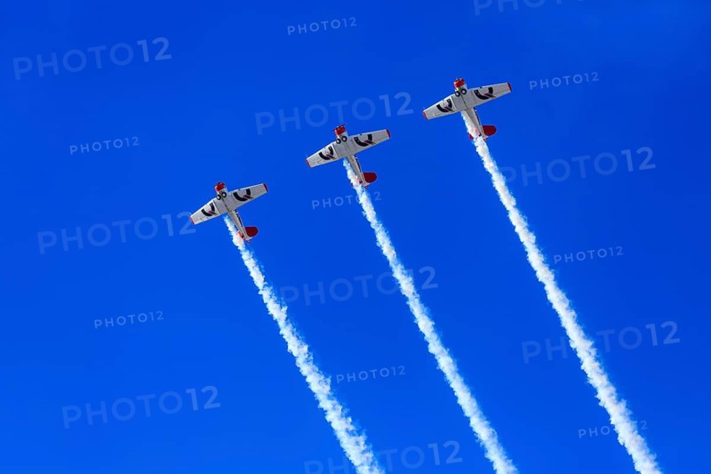 Aerobatic Team Flying Lions