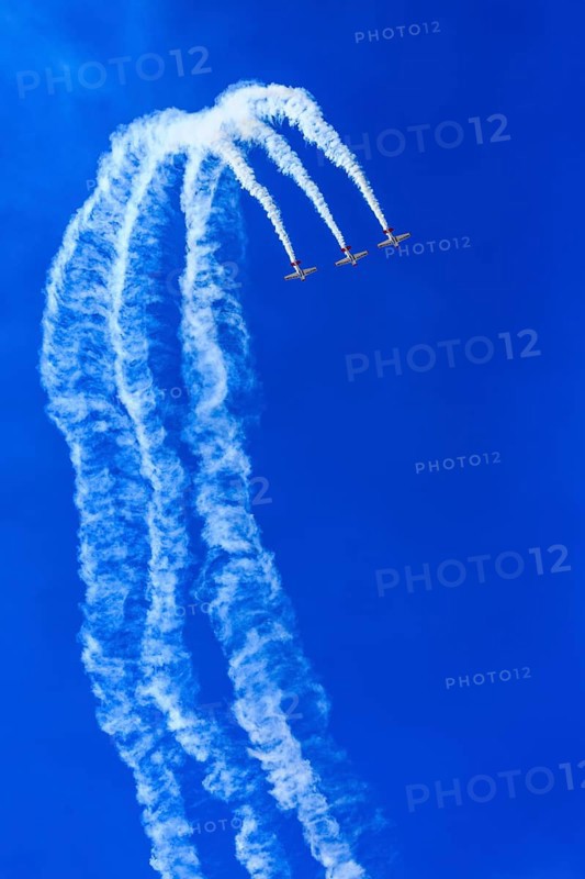 Aerobatic Team Flying Lions