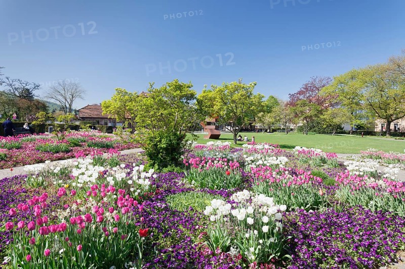 Public park