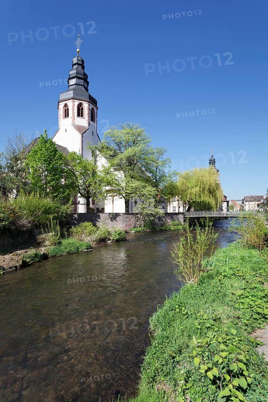 St. Martin's Church on river Alb