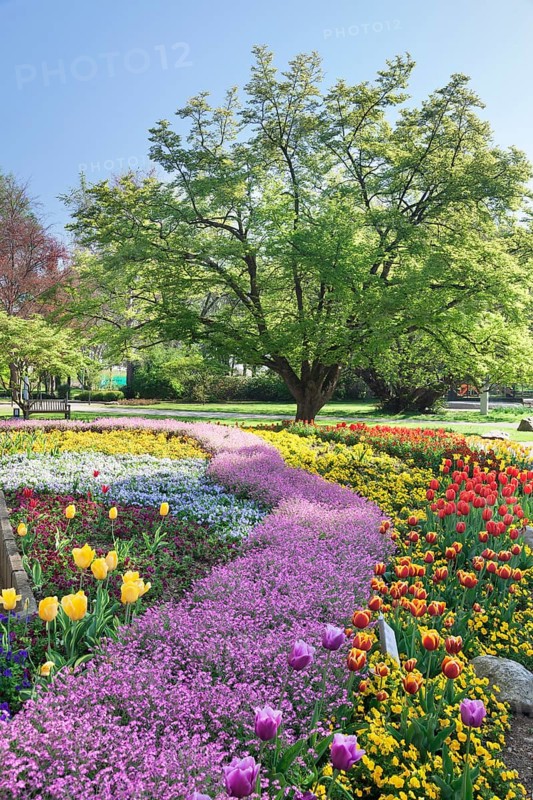 Spa garden