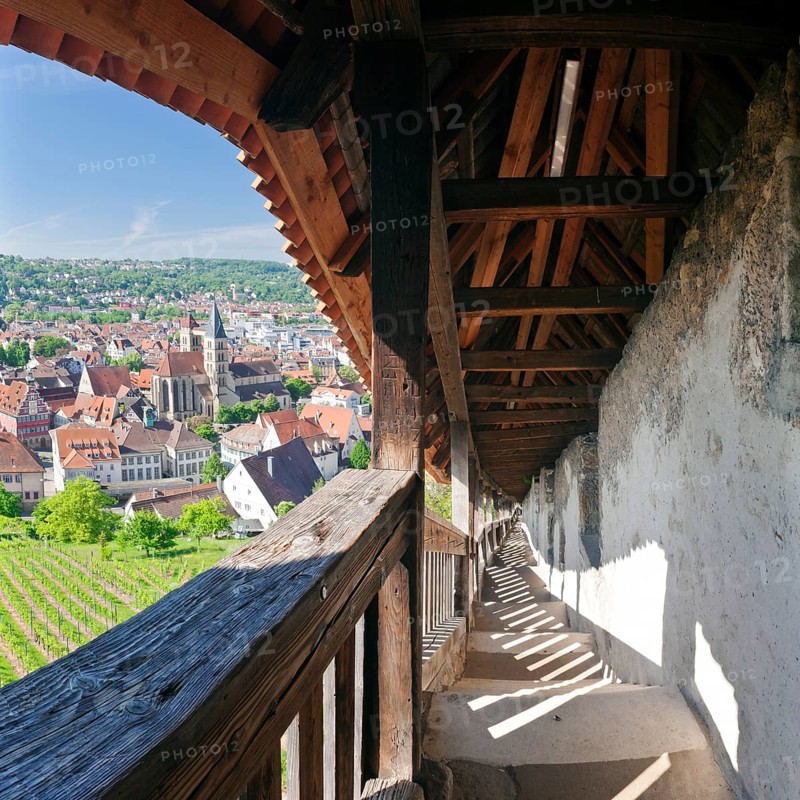 View from the castle towards the historic centre with town church of St. Dionysius