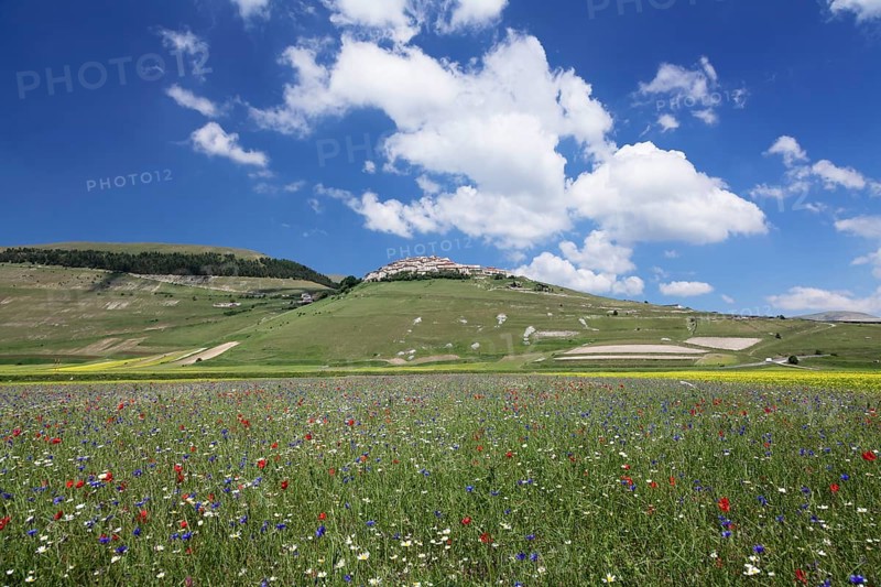 Castelluccio di Norcia