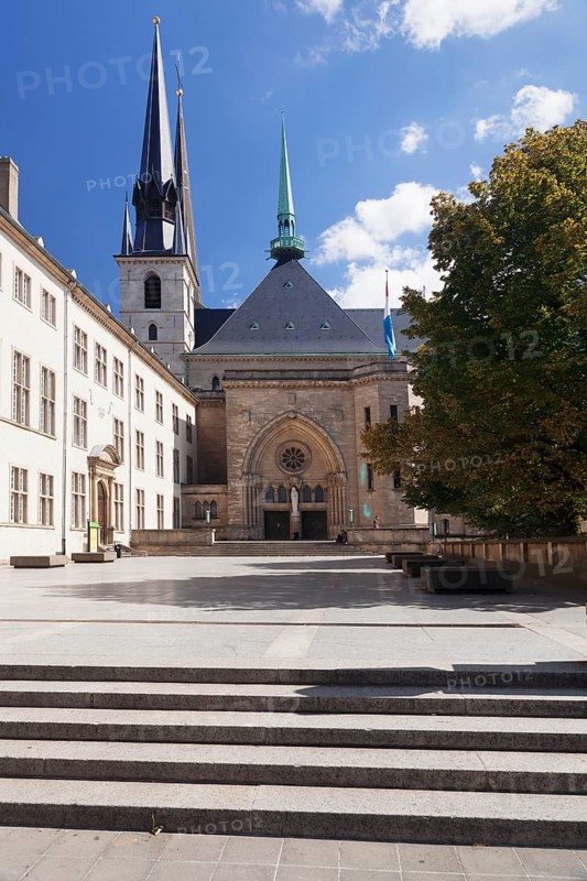 Notre-Dame Cathedral