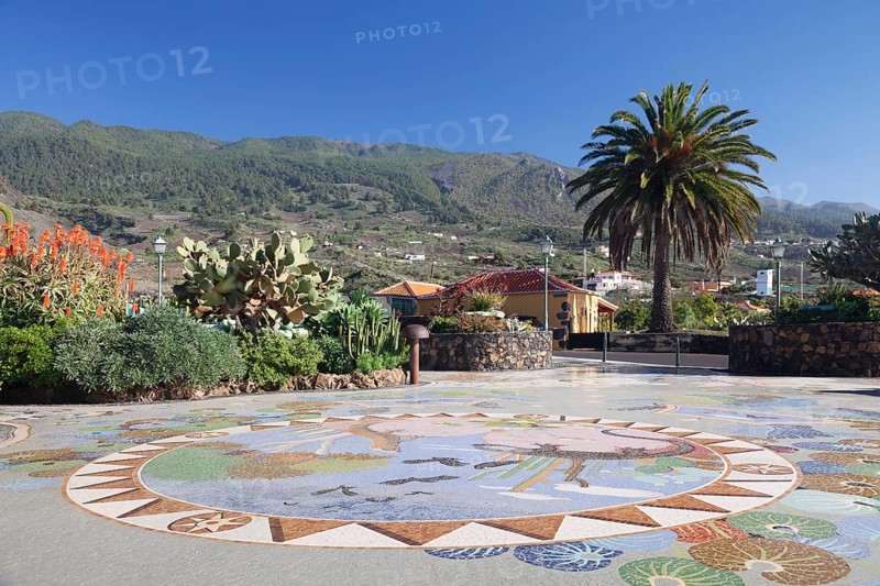 Floor mosaic