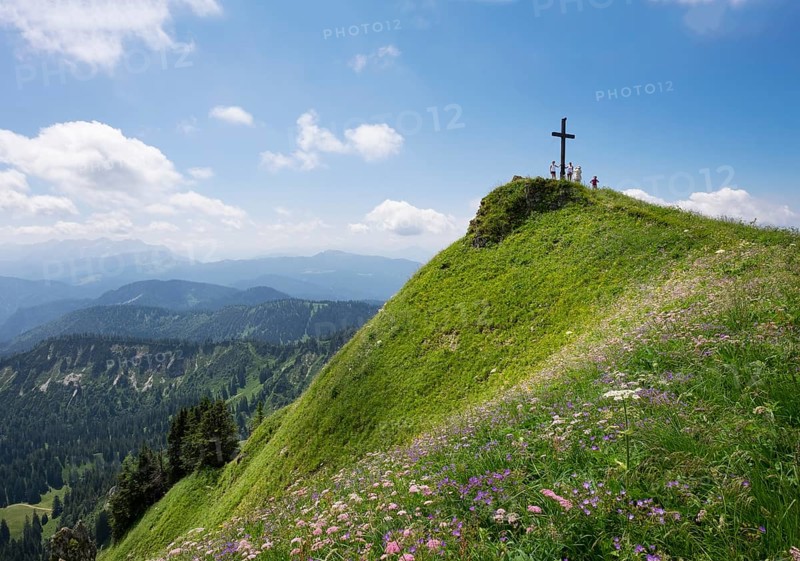 Summit cross and mountain flowers on Hochgern mountain