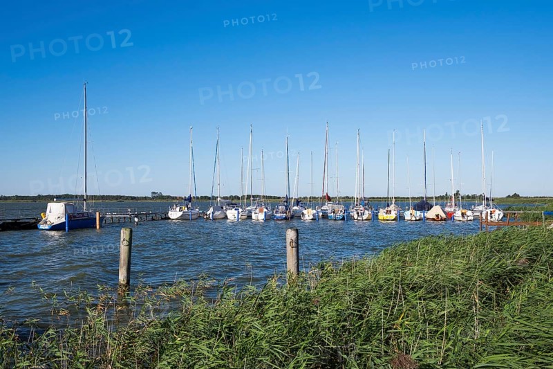 Wustrow harbour