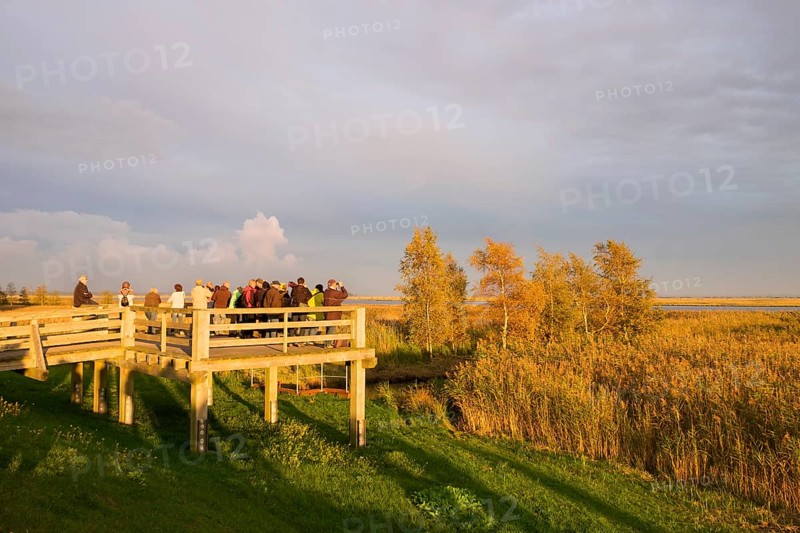 Bird watching deck in the Ostseeheilbad Zingst