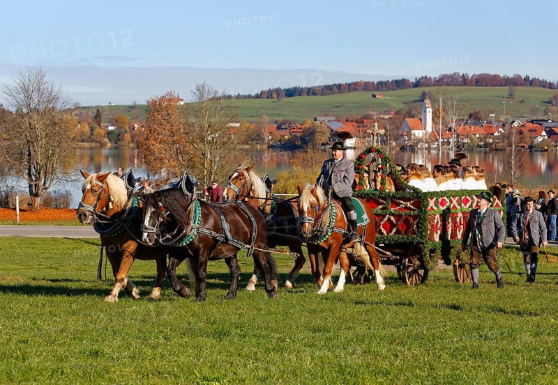 Carriage at the Leonhardi procession to Froschhausen