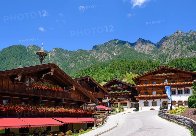Wooden houses