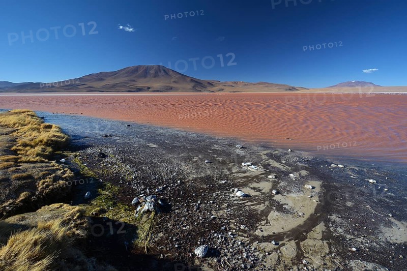 Laguna Colorada with red water caused by high algae content