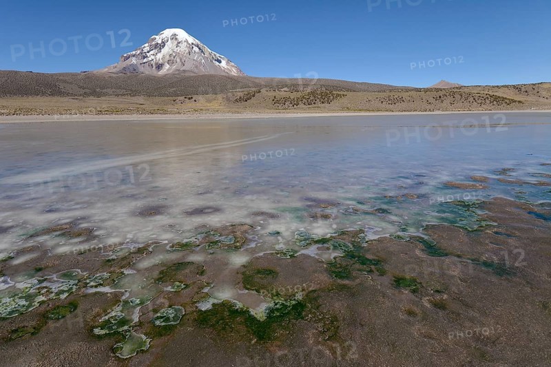 Sajama Volcano and frozen lake on Rio Sajama