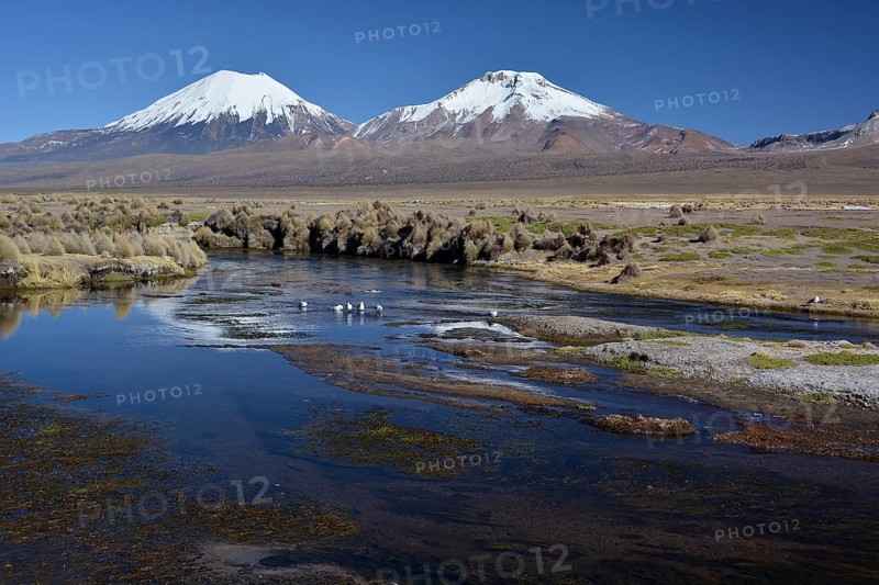 Snowcapped volcanoes Pomerape and Parinacota