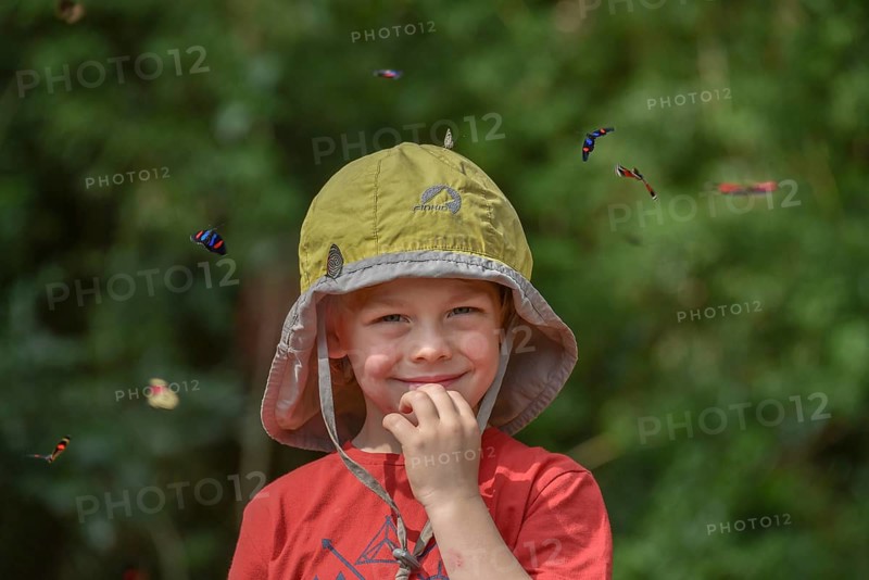 Small boy surrounded by flying colorful butterflies