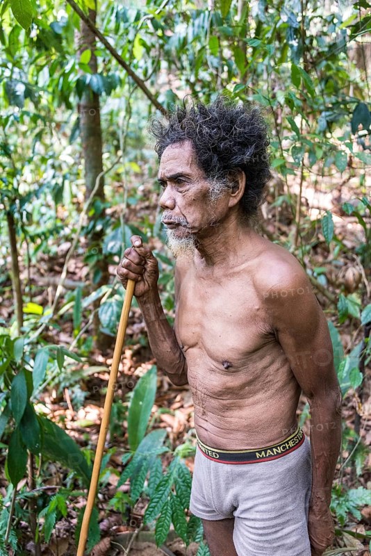 Old Man of the Orang Asil tribe with a blowgun in the jungle