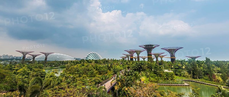 Supertrees