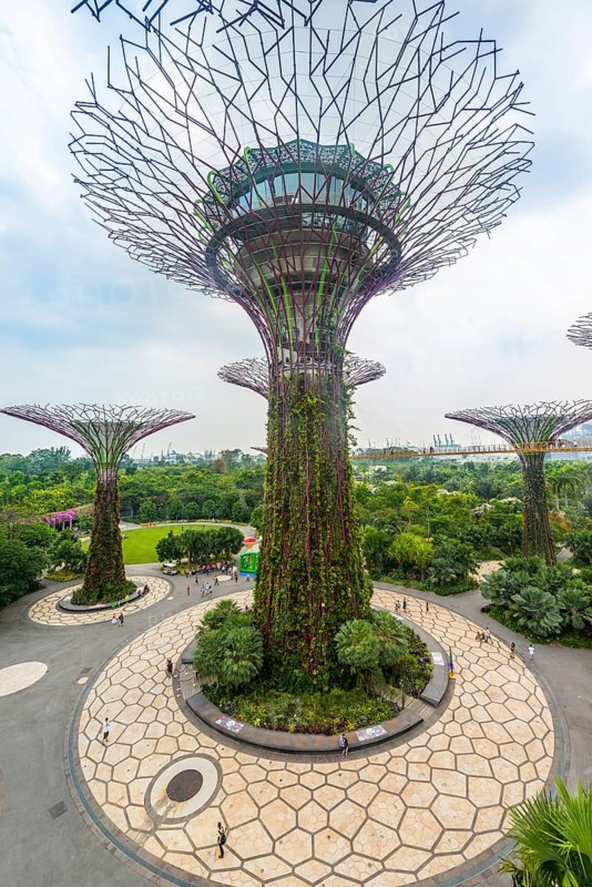 Supertrees