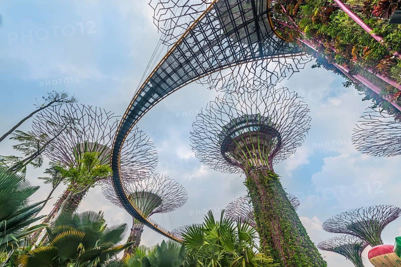 Supertrees