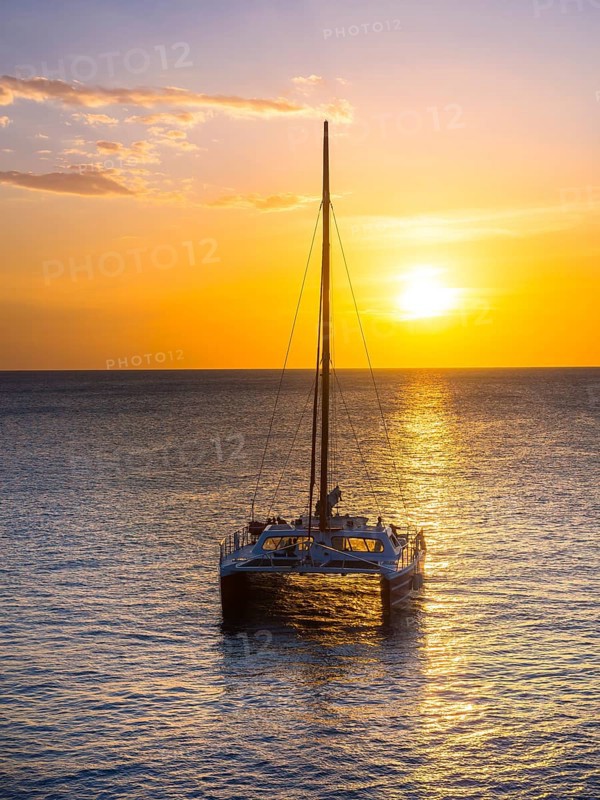 Sailboats